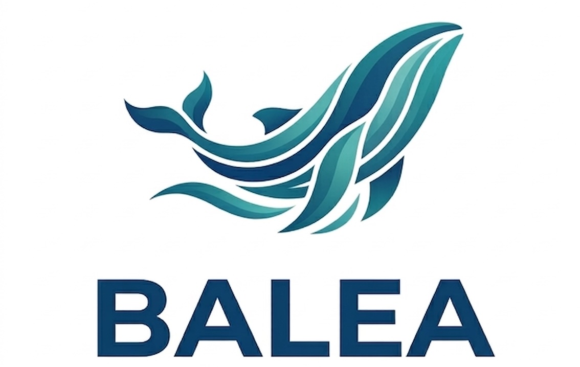 Logo Balea Conseil & Formation